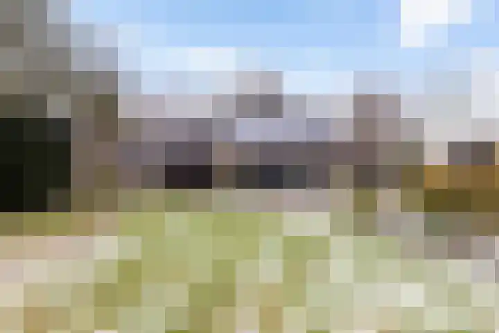 Goldakkers 6 Zeegse thumbnail 21
