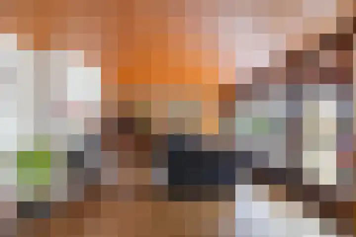 Goldakkers 6 Zeegse thumbnail 28
