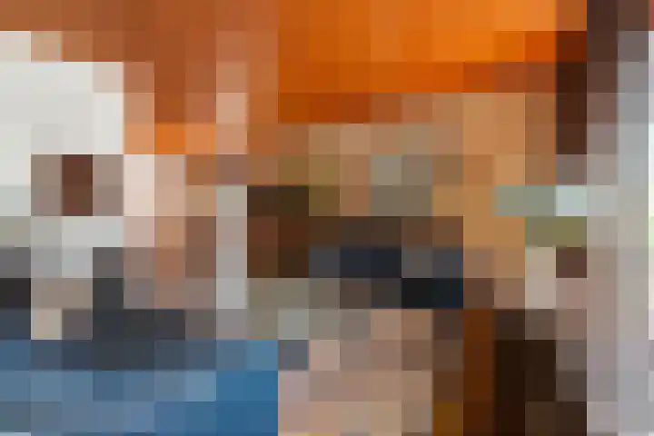 Goldakkers 6 Zeegse thumbnail 33