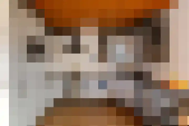 Goldakkers 6 Zeegse thumbnail 34
