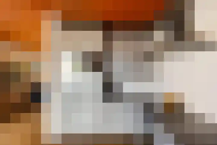 Goldakkers 6 Zeegse thumbnail 35