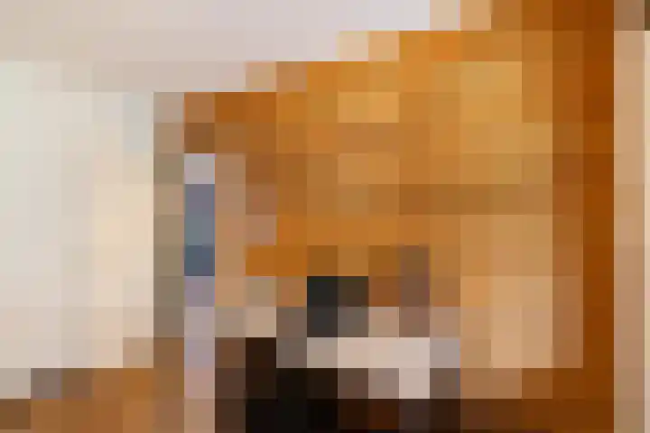 Goldakkers 6 Zeegse thumbnail 39