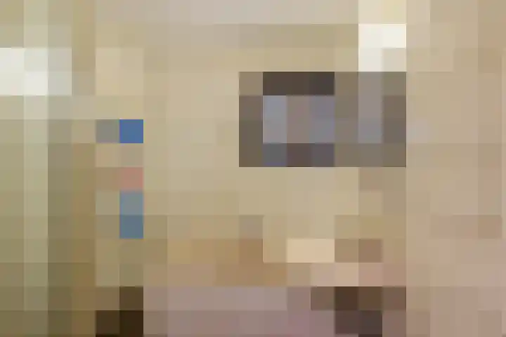 Goldakkers 6 Zeegse thumbnail 40