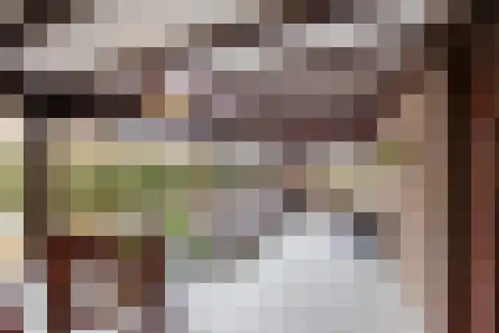 Goldakkers 6 Zeegse thumbnail 42