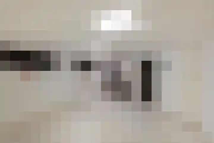 Goldakkers 6 Zeegse thumbnail 46