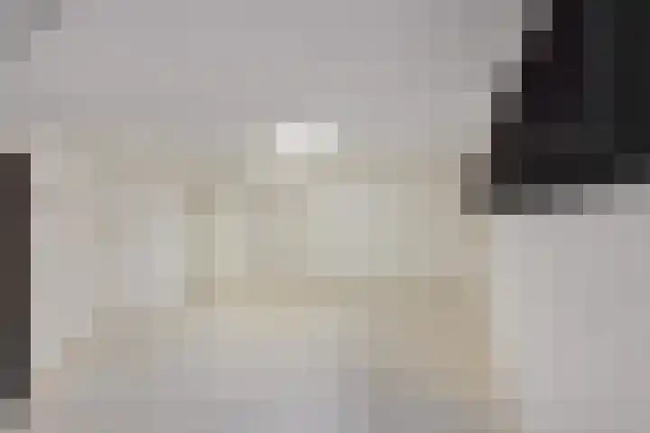 Goldakkers 6 Zeegse thumbnail 47