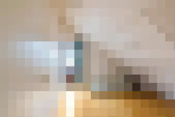 Goldakkers 6 Zeegse thumbnail 48