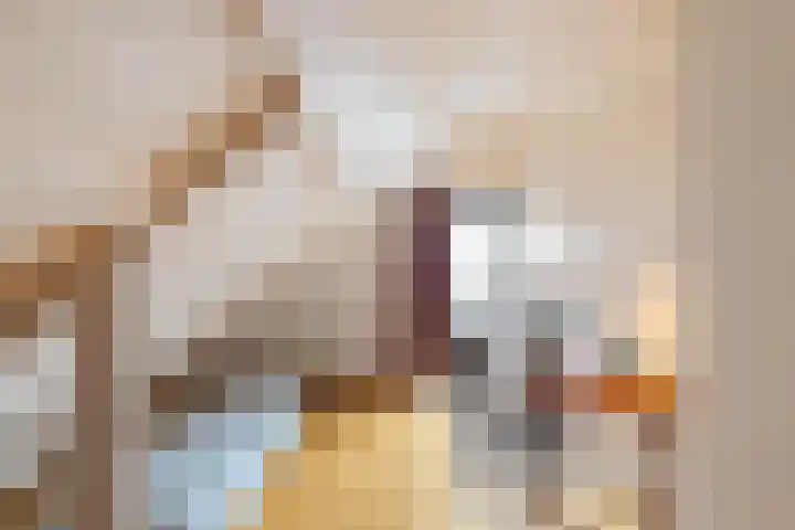 Goldakkers 6 Zeegse thumbnail 49