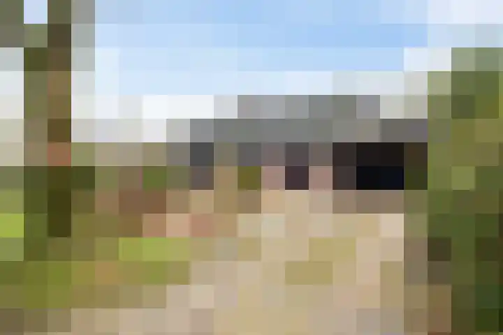 Goldakkers 6 Zeegse thumbnail 5