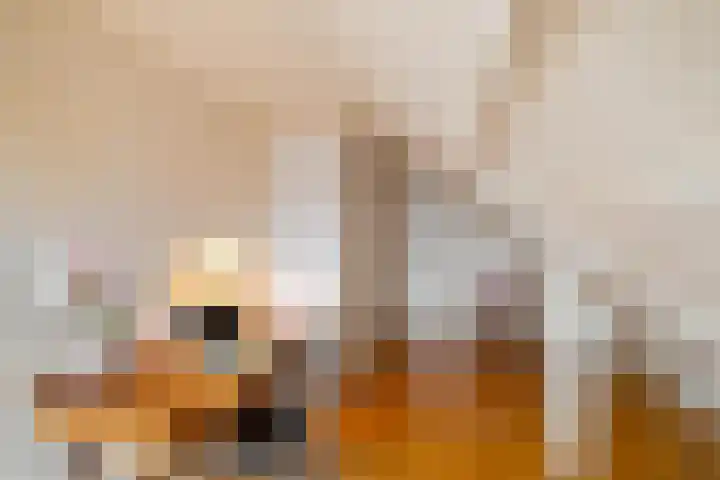 Goldakkers 6 Zeegse thumbnail 51