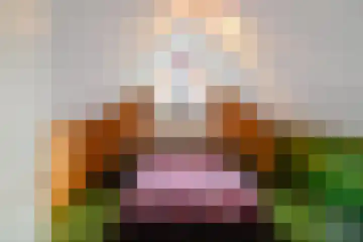 Goldakkers 6 Zeegse thumbnail 52