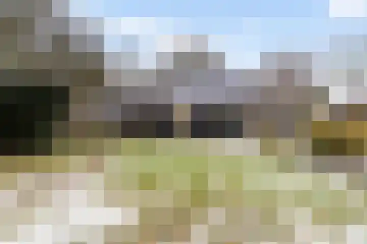 Goldakkers 6 Zeegse thumbnail 55