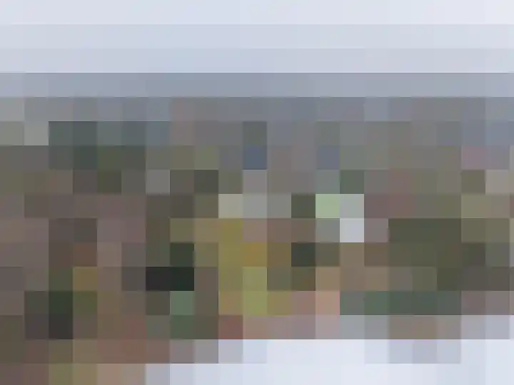 Goldakkers 6 Zeegse thumbnail 57