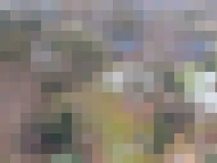 Goldakkers 6 Zeegse thumbnail 58