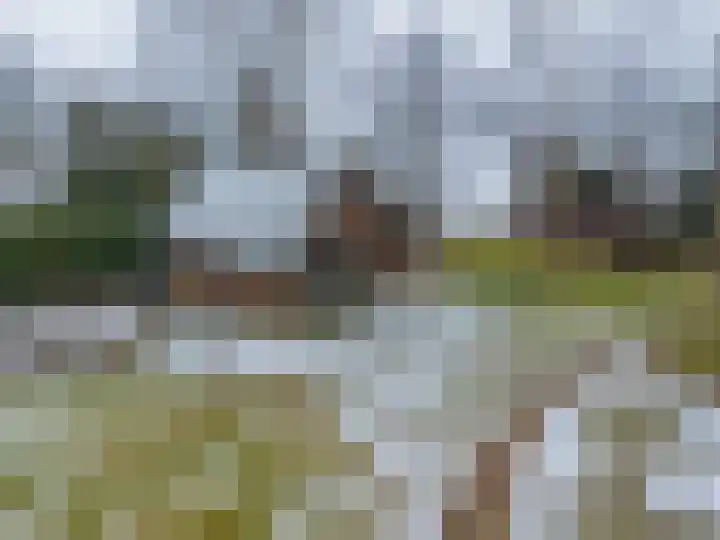 Goldakkers 6 Zeegse thumbnail 59