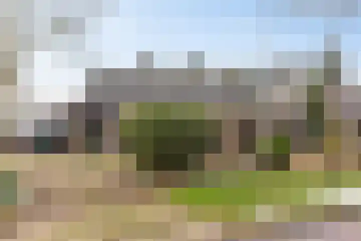 Goldakkers 6 Zeegse thumbnail 6
