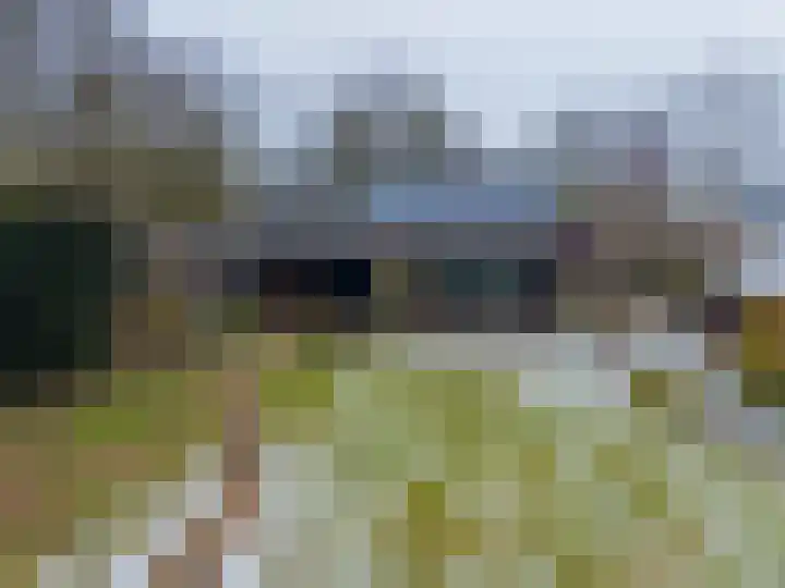 Goldakkers 6 Zeegse thumbnail 60
