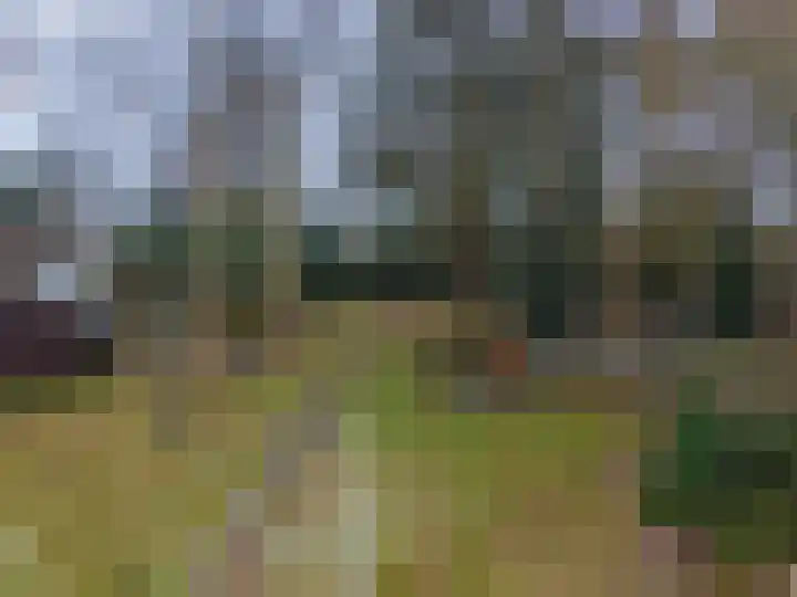 Goldakkers 6 Zeegse thumbnail 61