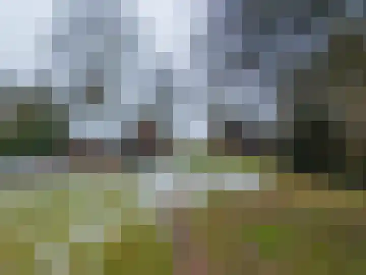 Goldakkers 6 Zeegse thumbnail 62