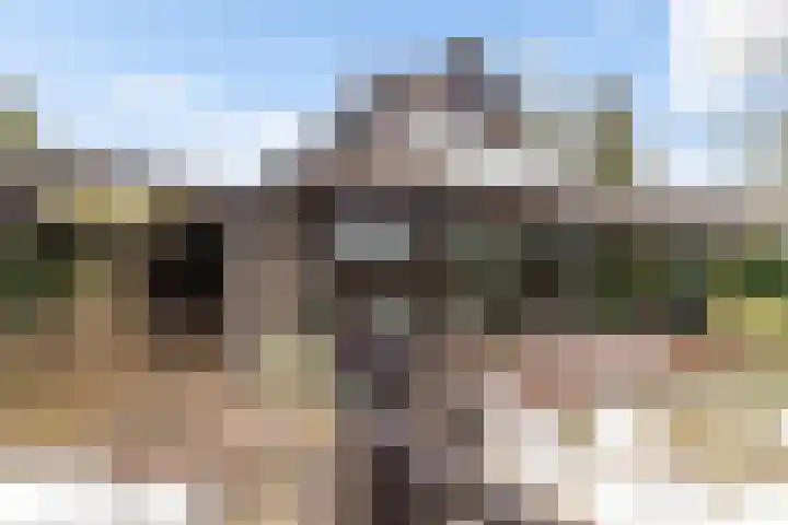 Goldakkers 6 Zeegse thumbnail 7