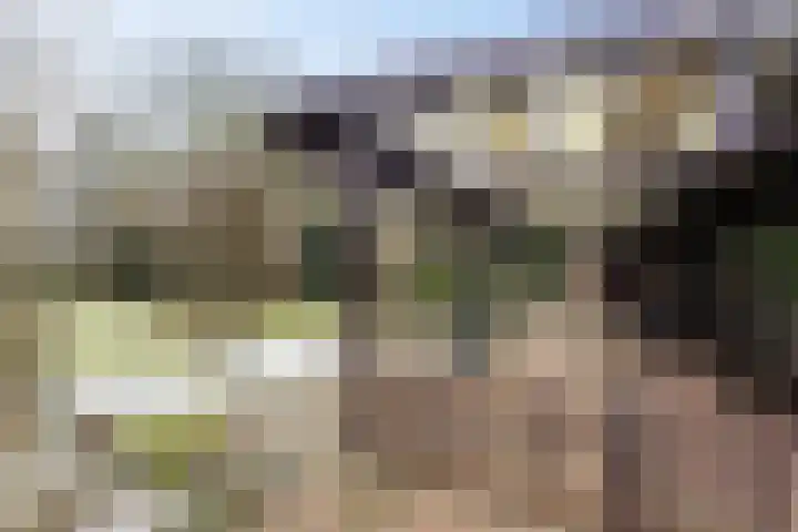 Goldakkers 6 Zeegse thumbnail 8