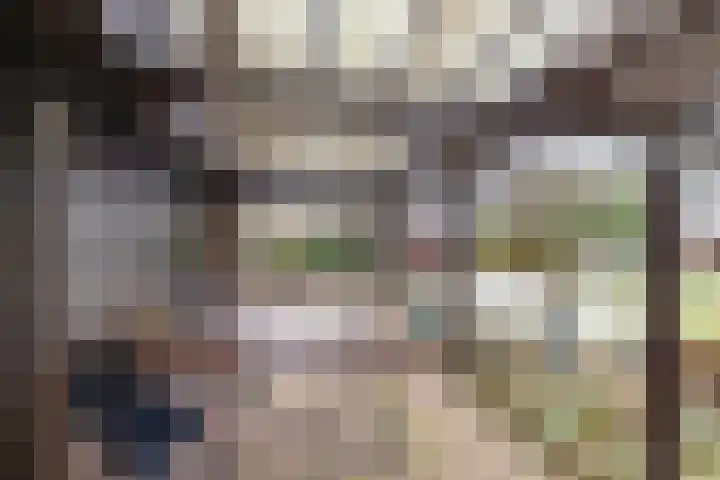 Goldakkers 6 Zeegse thumbnail 9