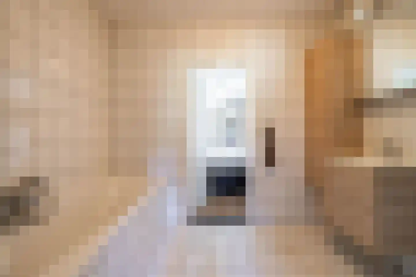Goldakkers 9 Zeegse thumbnail 23