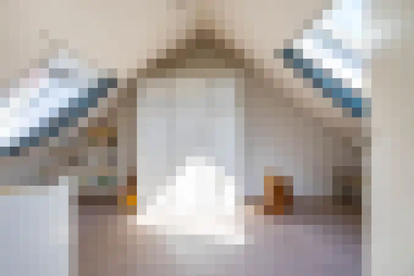 Goldakkers 9 Zeegse thumbnail 31