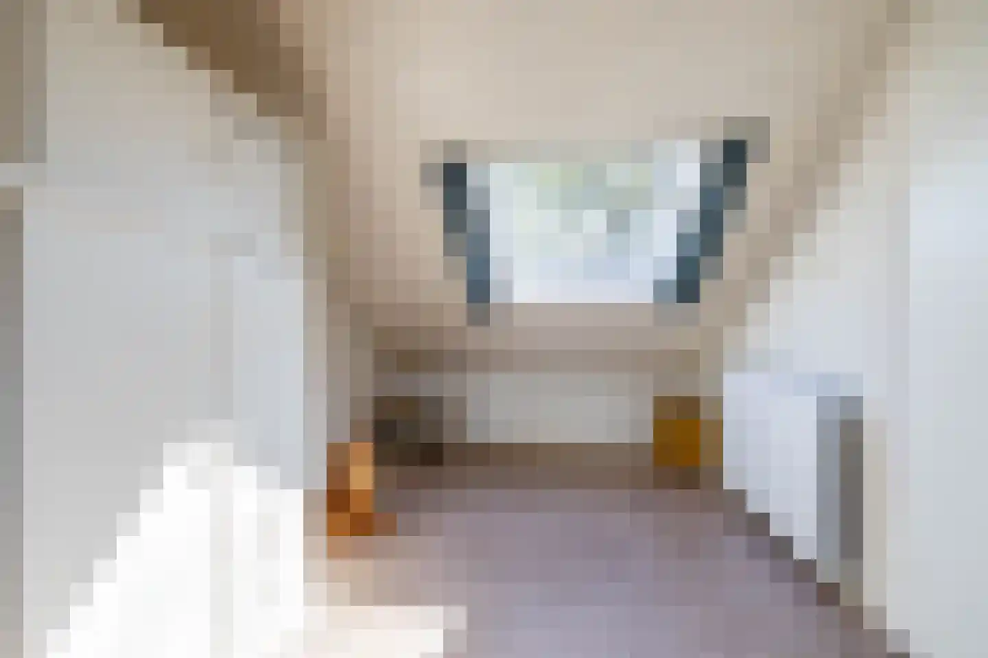 Goldakkers 9 Zeegse thumbnail 33