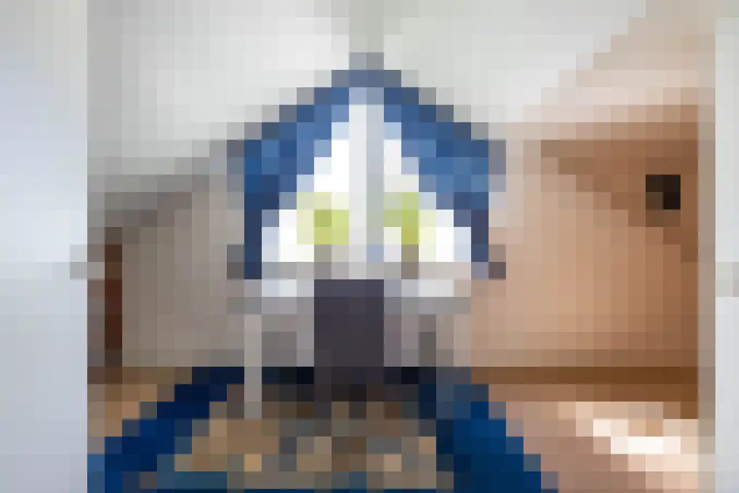Goldakkers 9 Zeegse thumbnail 34