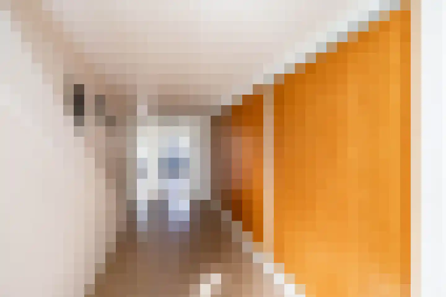 Goldakkers 9 Zeegse thumbnail 37