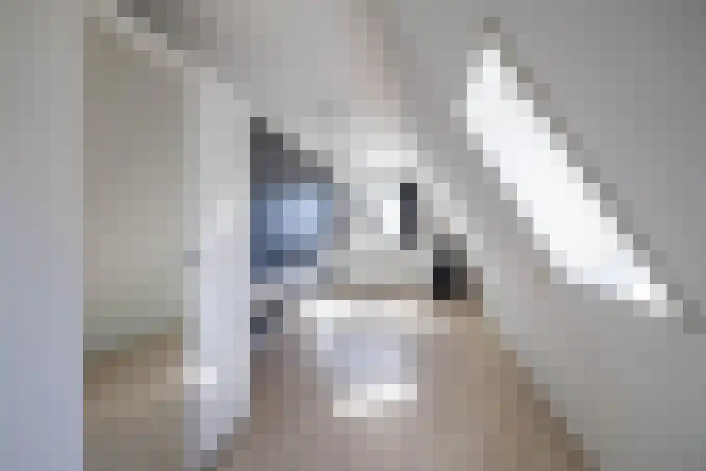 Goldakkers 9 Zeegse thumbnail 42