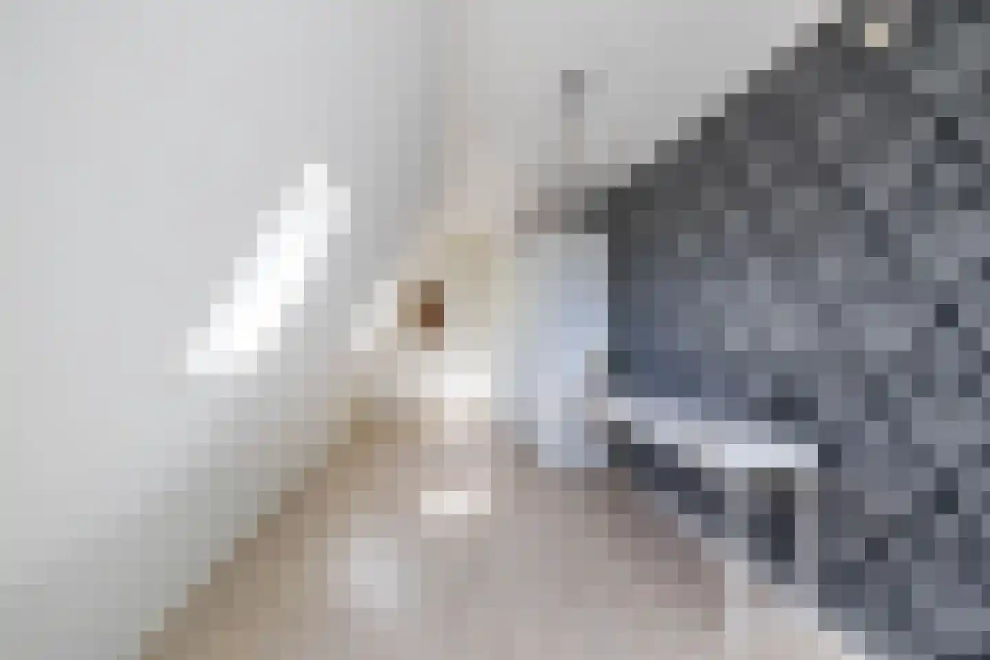 Goldakkers 9 Zeegse thumbnail 43