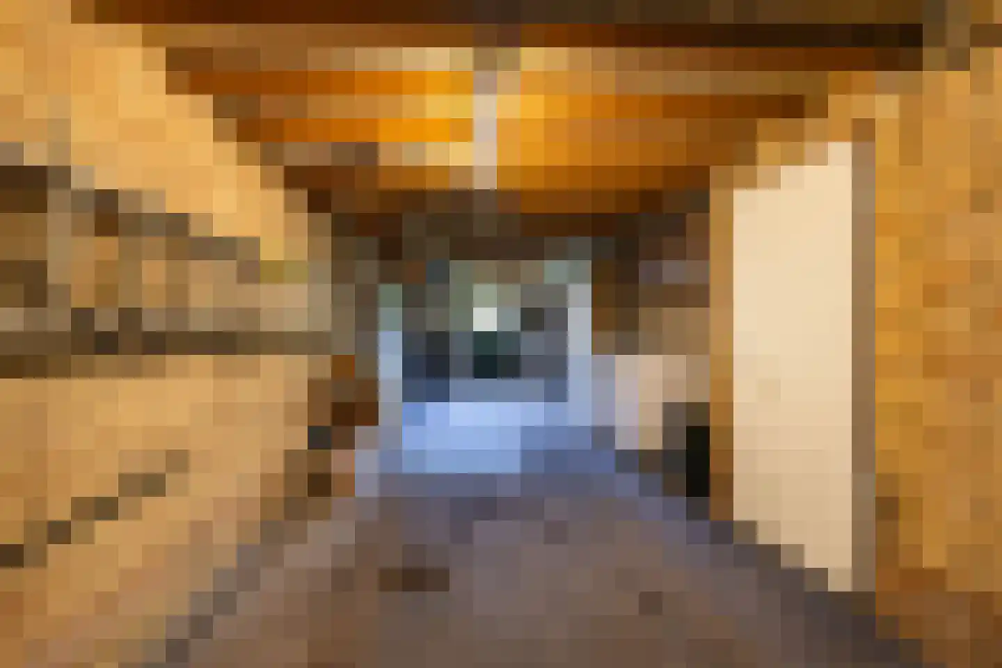Goldakkers 9 Zeegse thumbnail 49