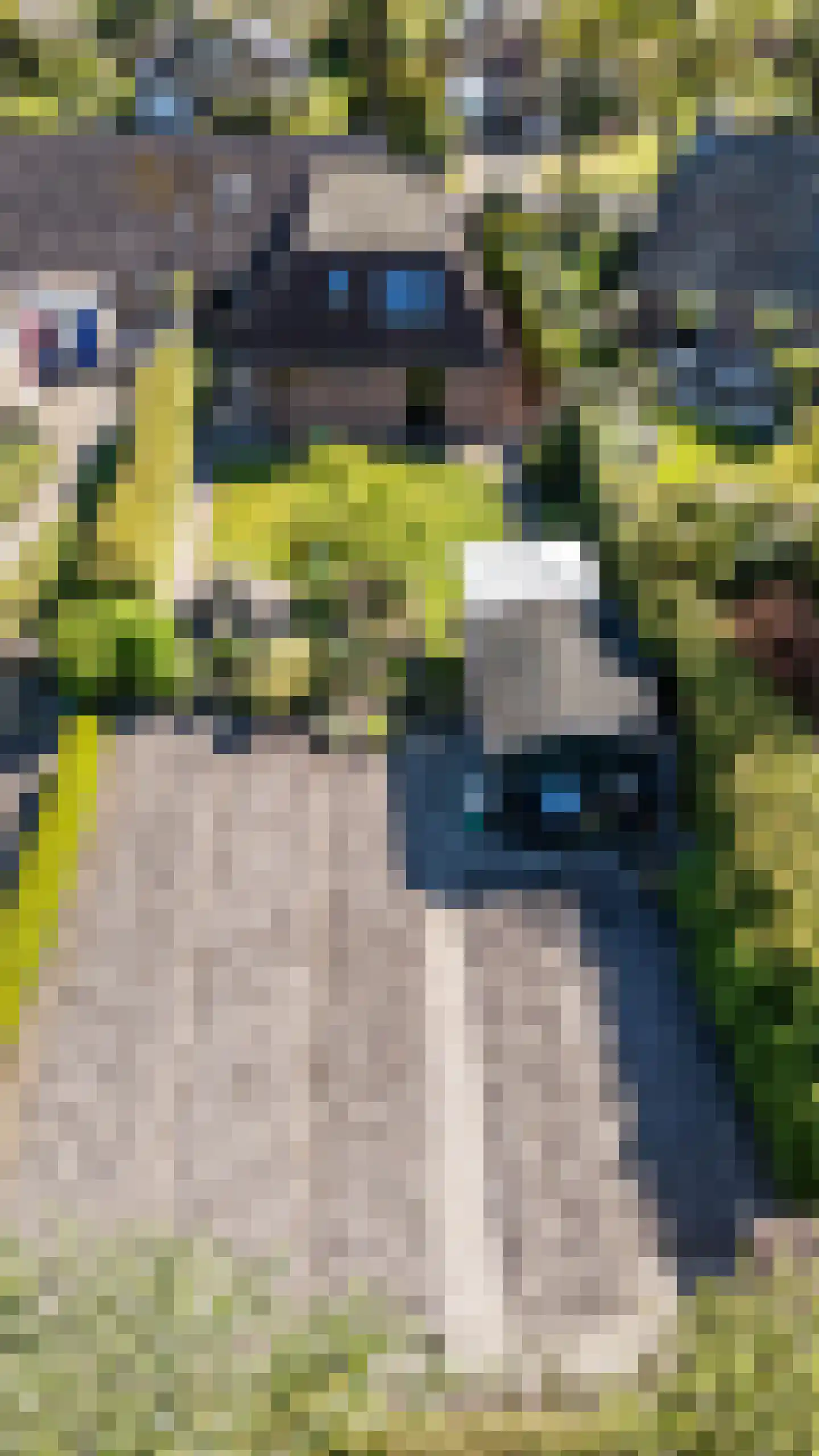 Goldakkers 9 Zeegse thumbnail 5