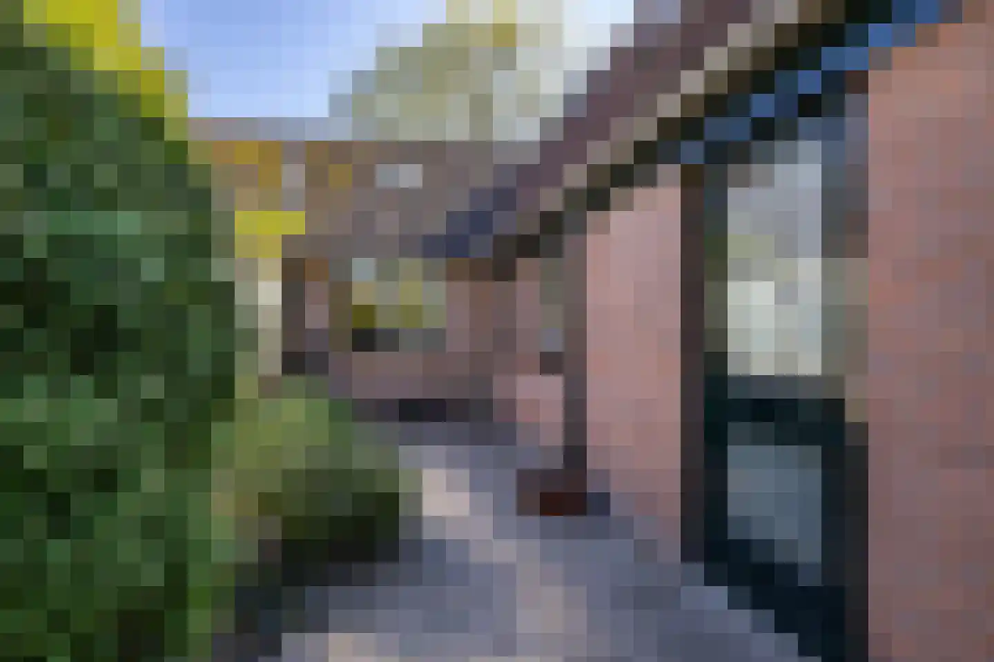 Goldakkers 9 Zeegse thumbnail 51