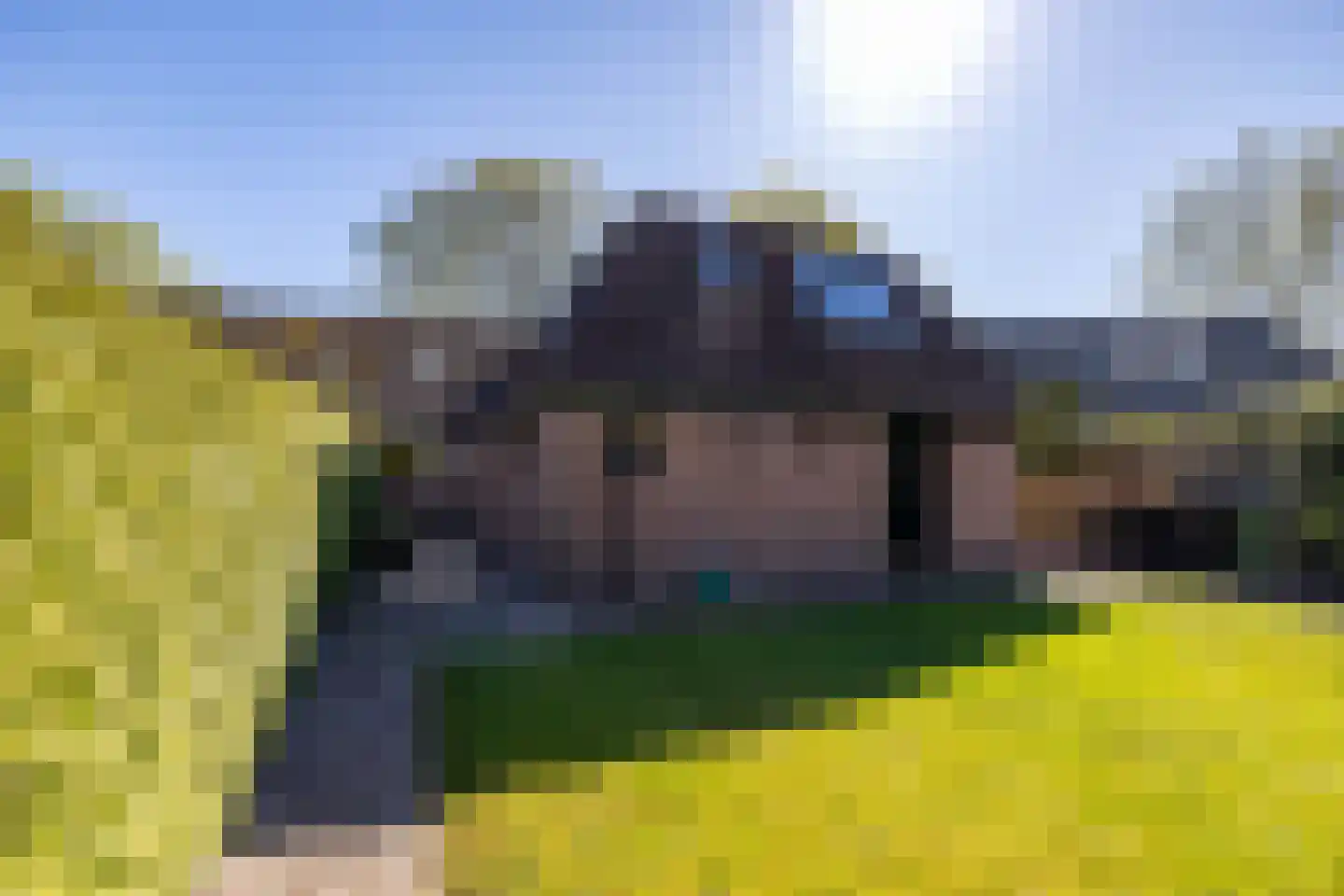 Goldakkers 9 Zeegse thumbnail 52