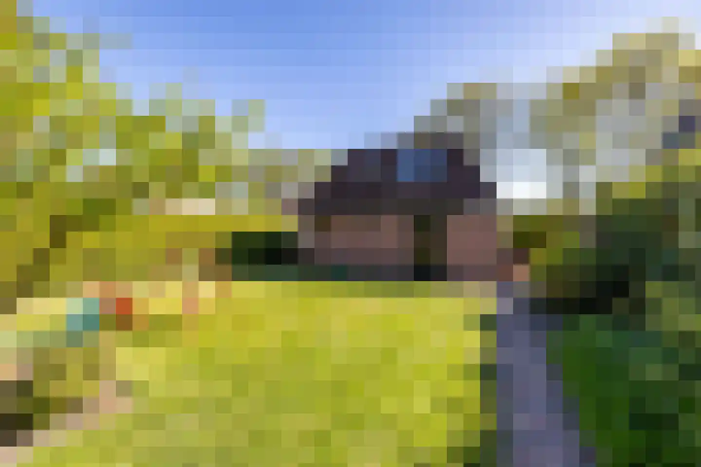 Goldakkers 9 Zeegse thumbnail 53