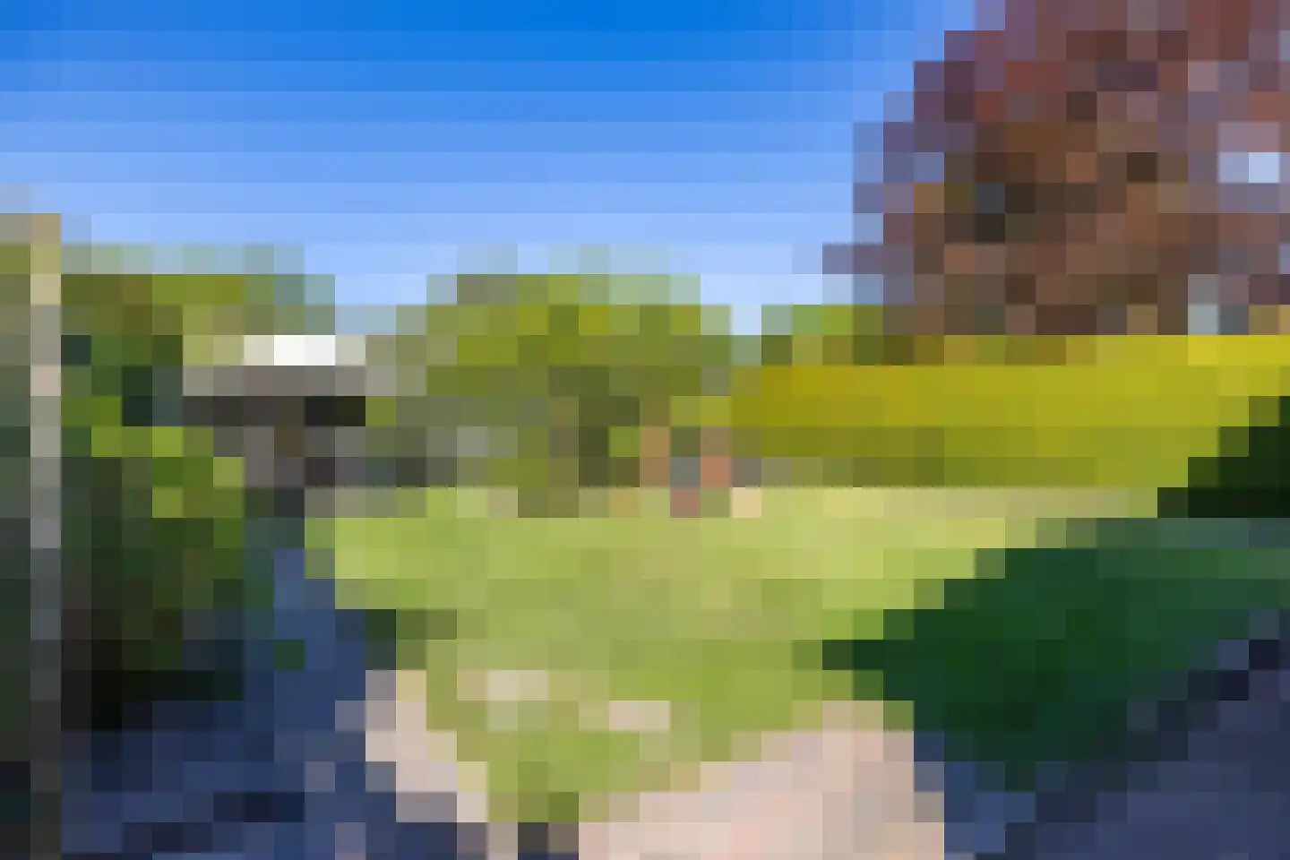 Goldakkers 9 Zeegse thumbnail 55