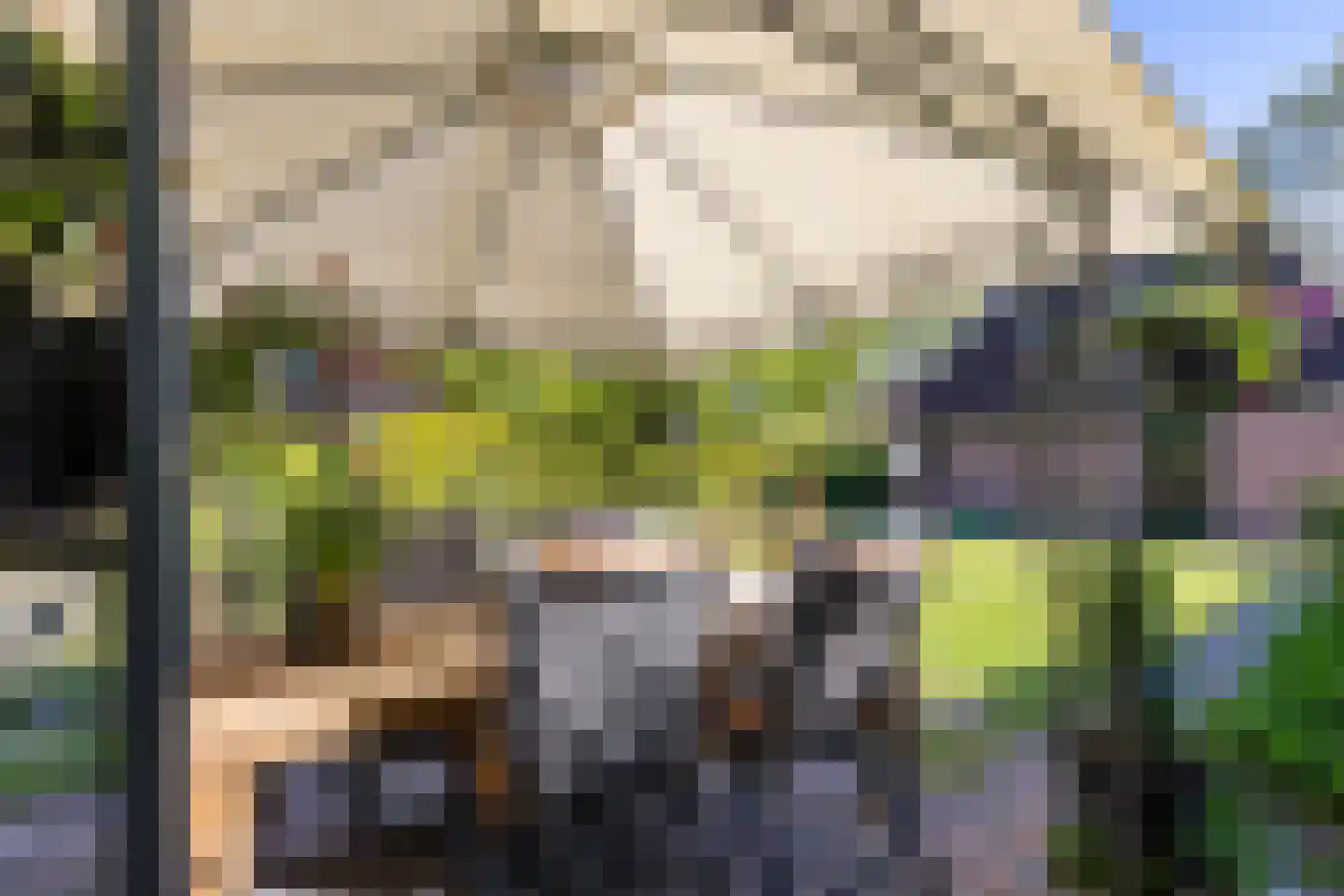 Goldakkers 9 Zeegse thumbnail 56