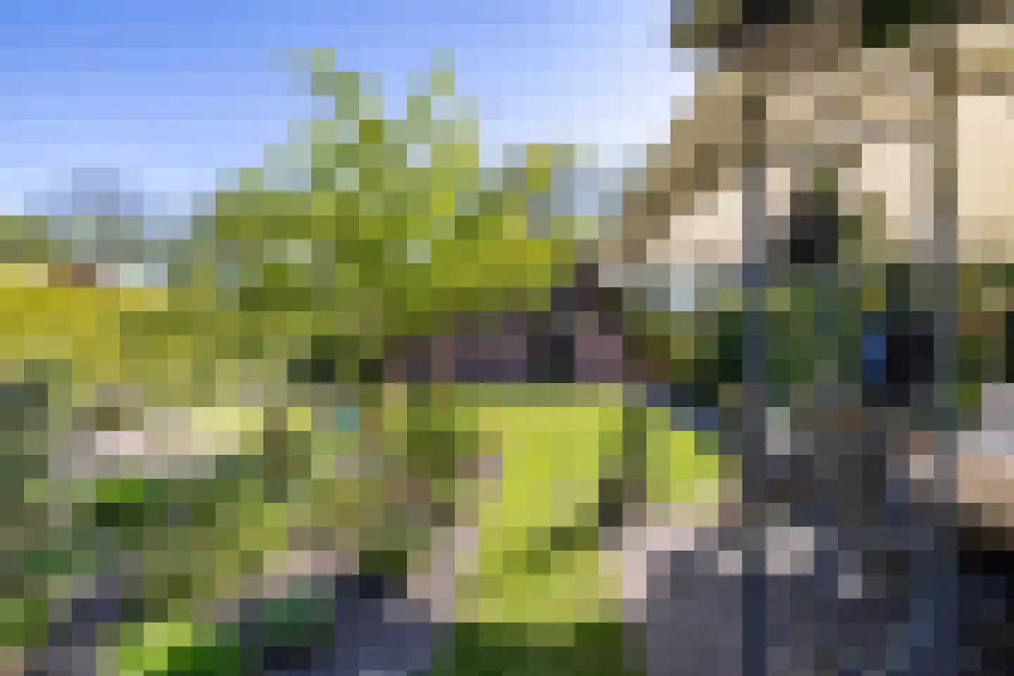 Goldakkers 9 Zeegse thumbnail 57