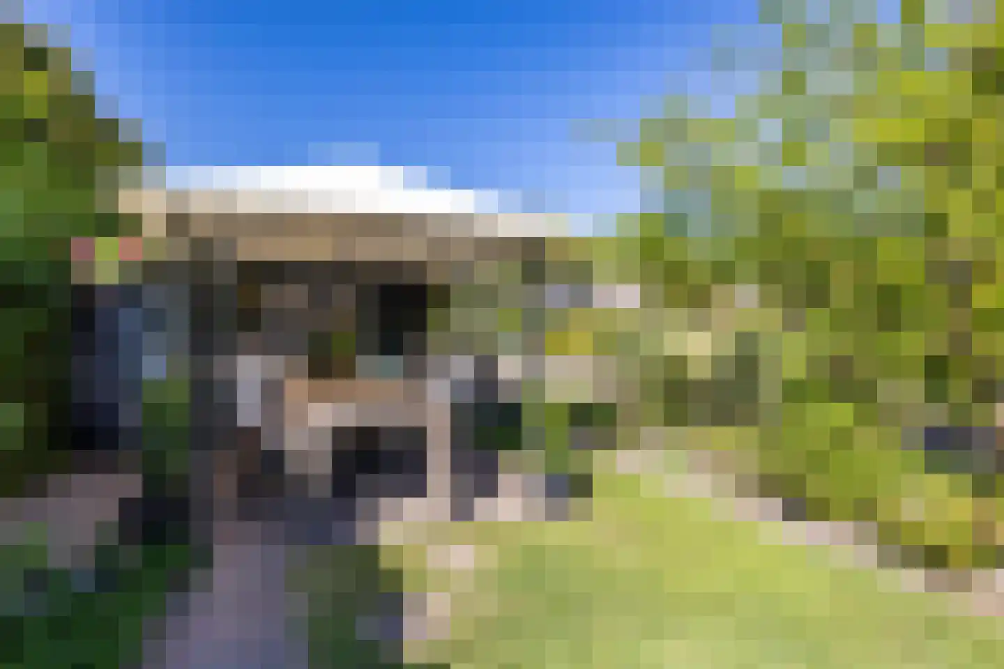 Goldakkers 9 Zeegse thumbnail 58