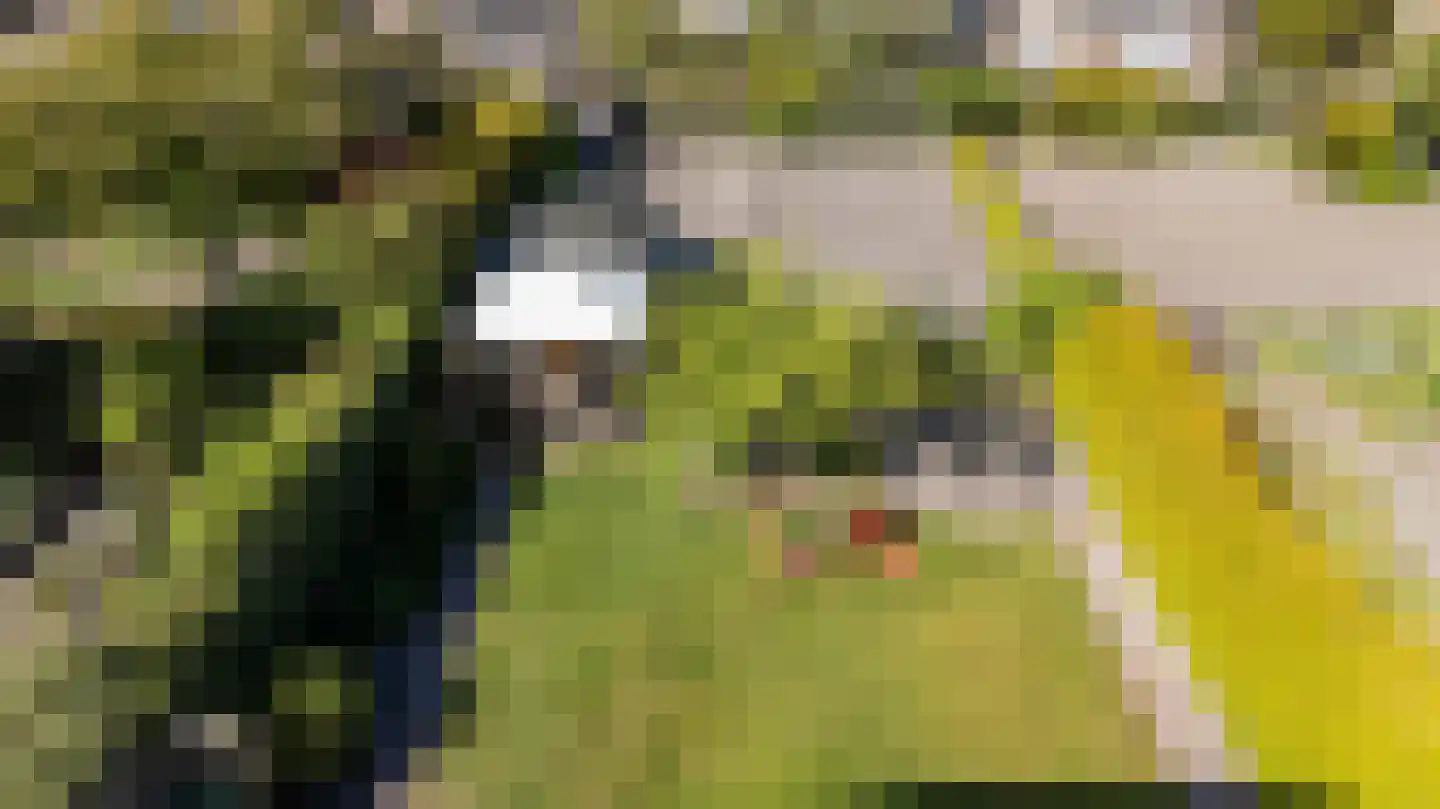 Goldakkers 9 Zeegse thumbnail 59