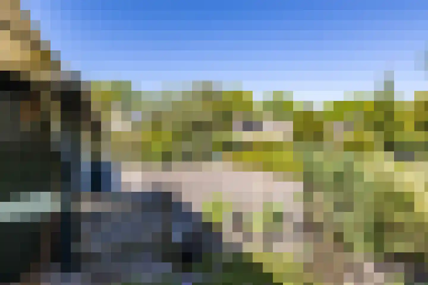 Goldakkers 9 Zeegse thumbnail 60