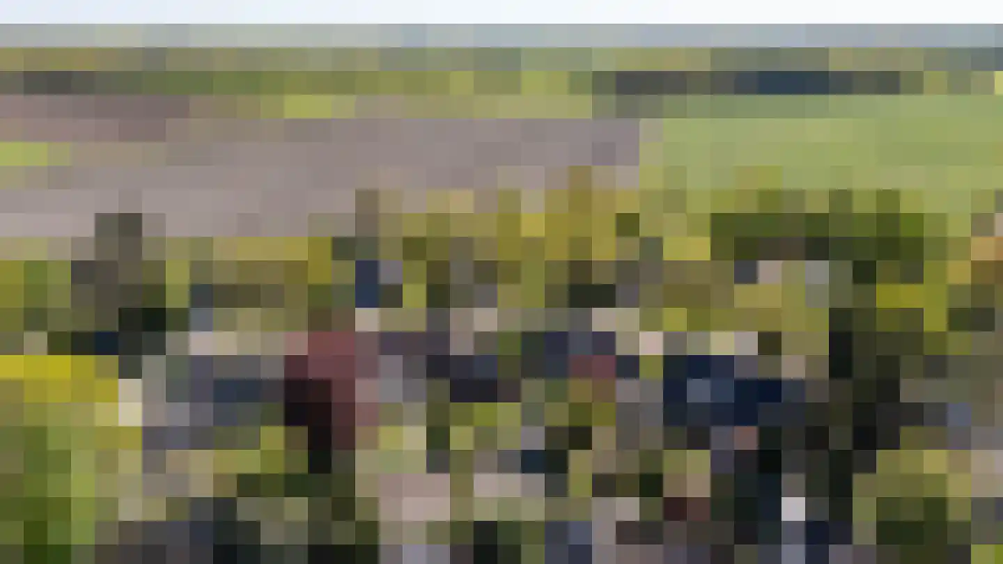 Goldakkers 9 Zeegse thumbnail 64