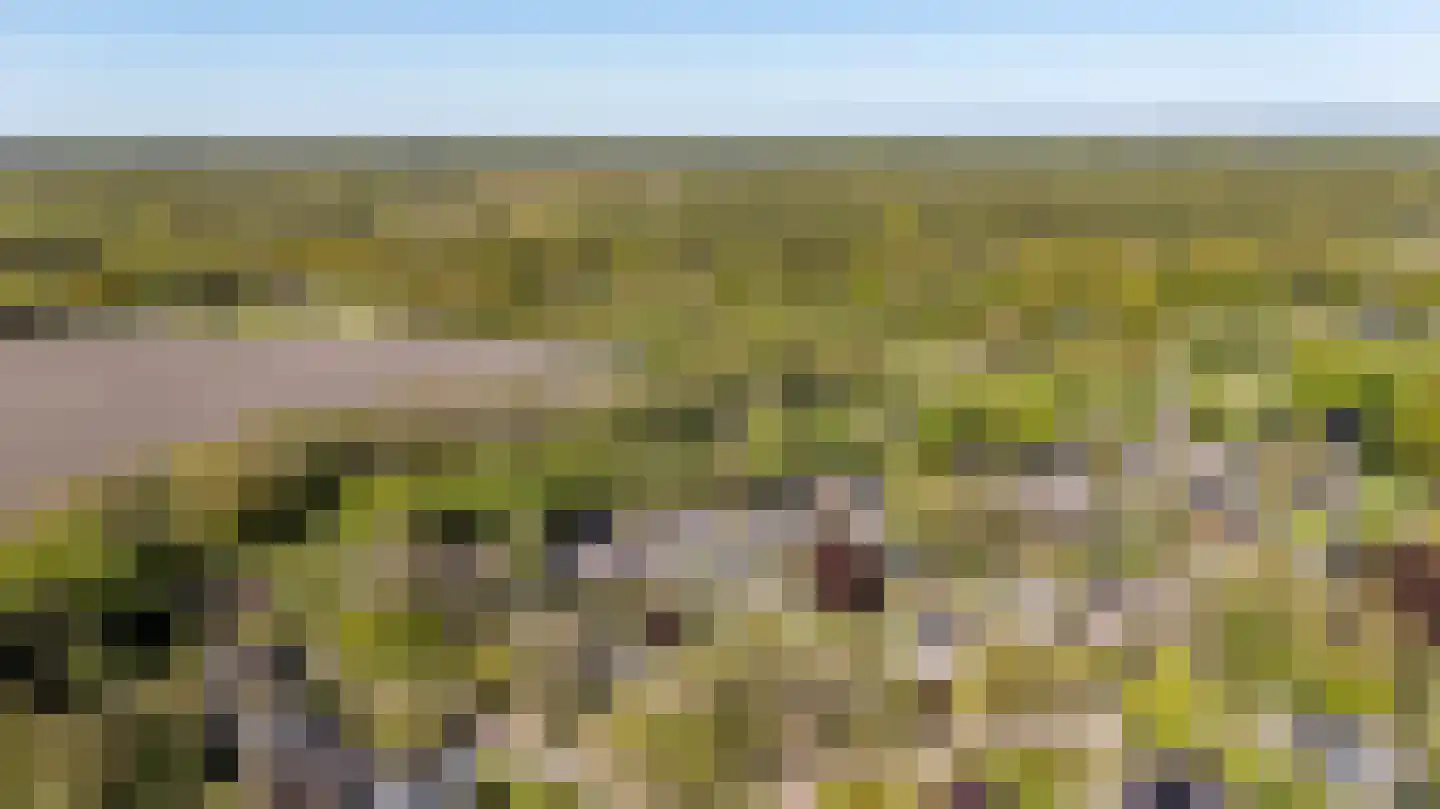 Goldakkers 9 Zeegse thumbnail 65