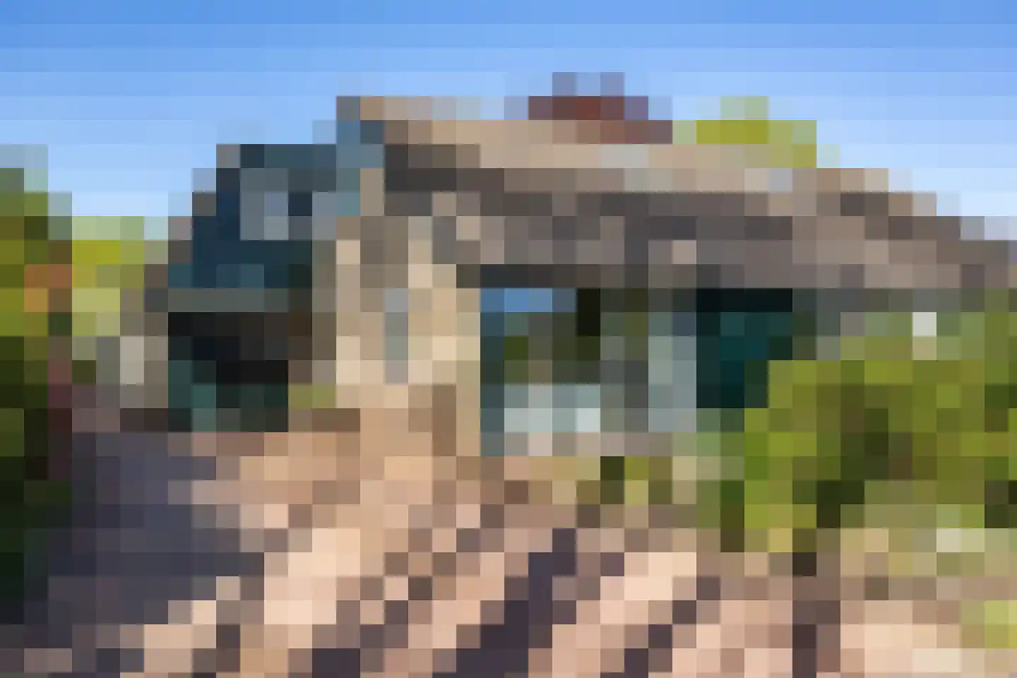 Goldakkers 9 Zeegse thumbnail 8