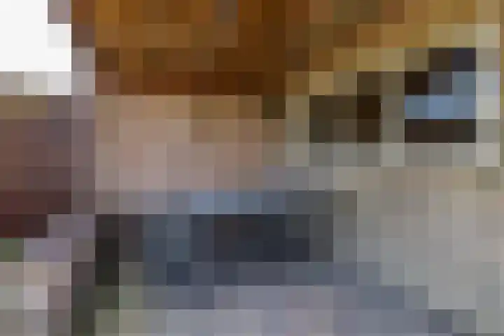 Goldbergsingel 20 Leek thumbnail 38
