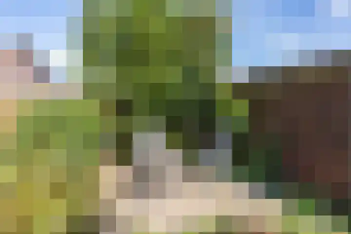 Goldbergsingel 20 Leek thumbnail 40