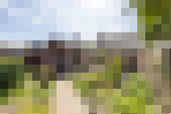 Goldbergsingel 20 Leek thumbnail 41